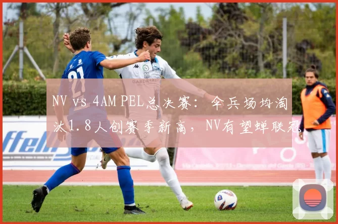 NV vs 4AM PEL总决赛:伞兵场均淘汰1.8人创赛季新高,NV有望蝉联冠军__br_